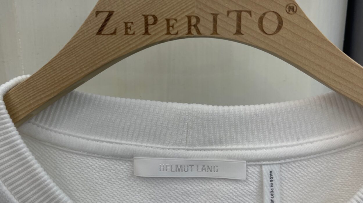 2024 08 21 Zeperito Wonderland