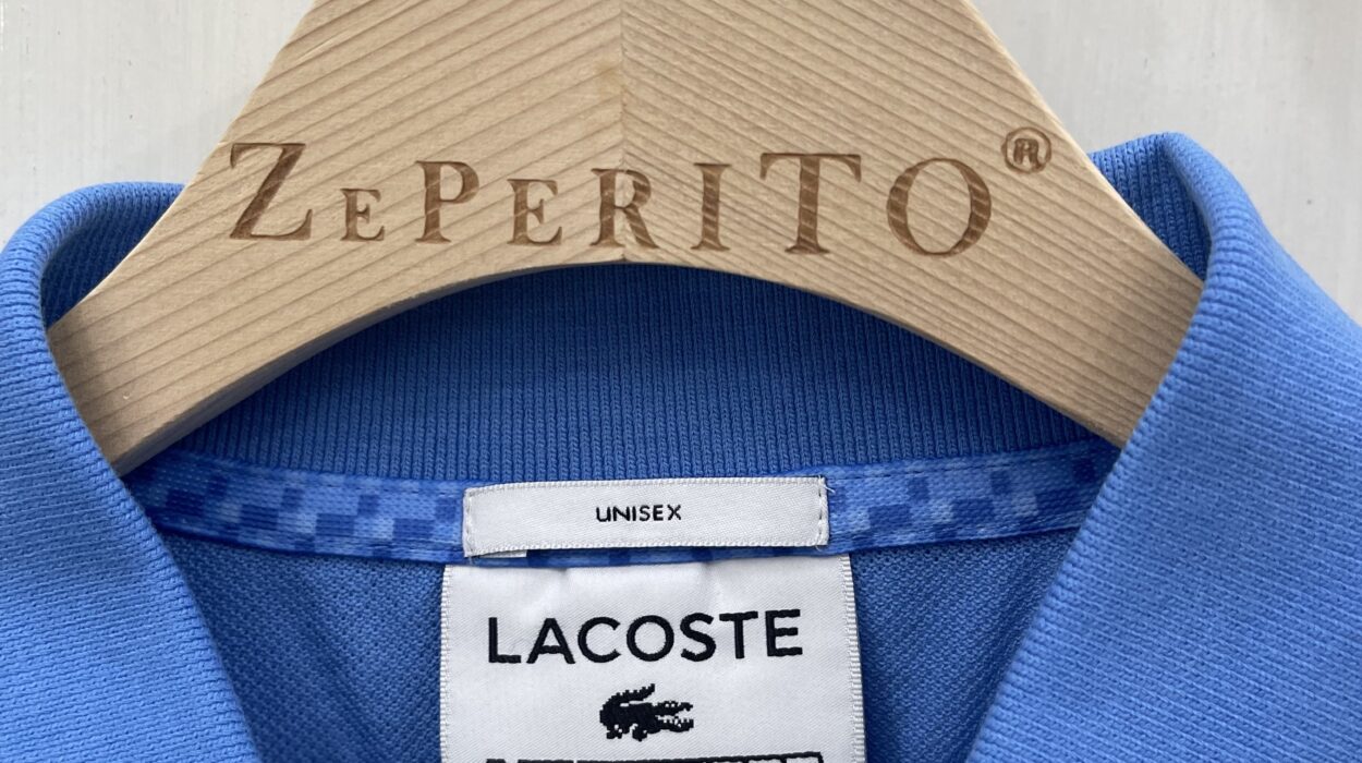 2024 09 21 Zeperito Wonderland