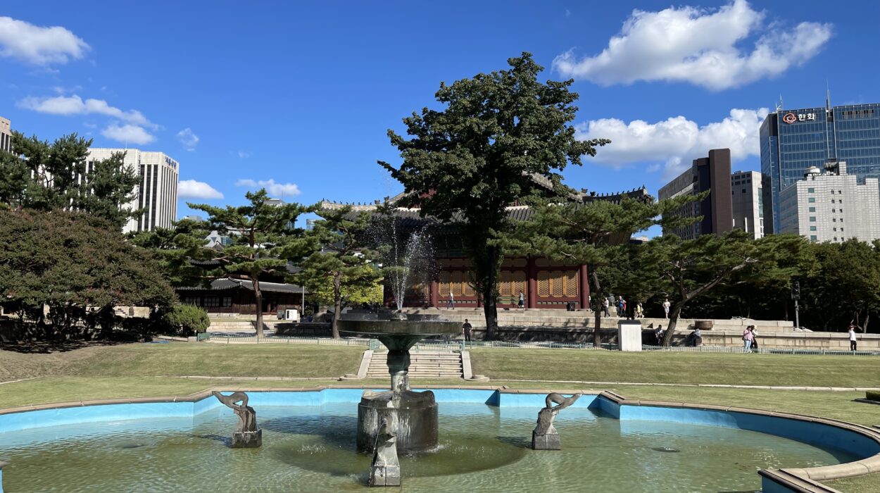 2024 10 22 Zeperito Wonderland