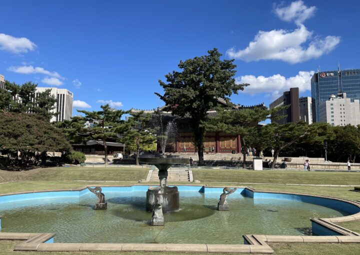 2024 10 22 Zeperito Wonderland