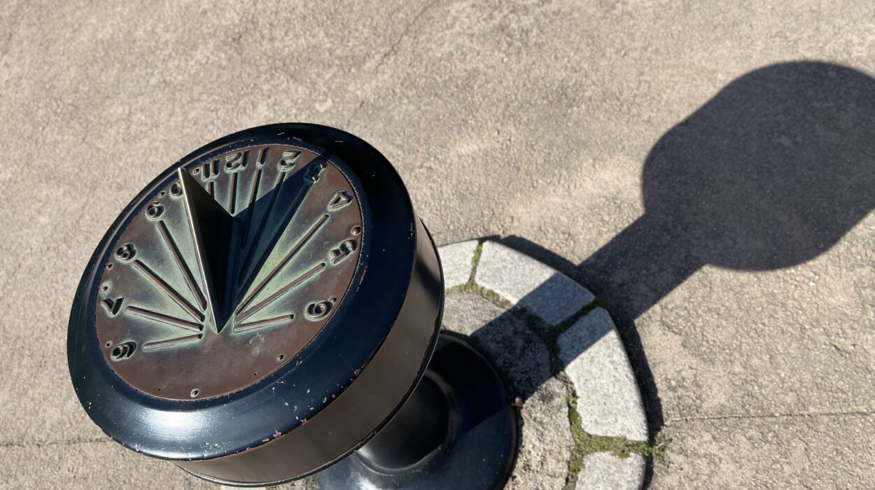 2024 10 23 Zeperito Wonderland