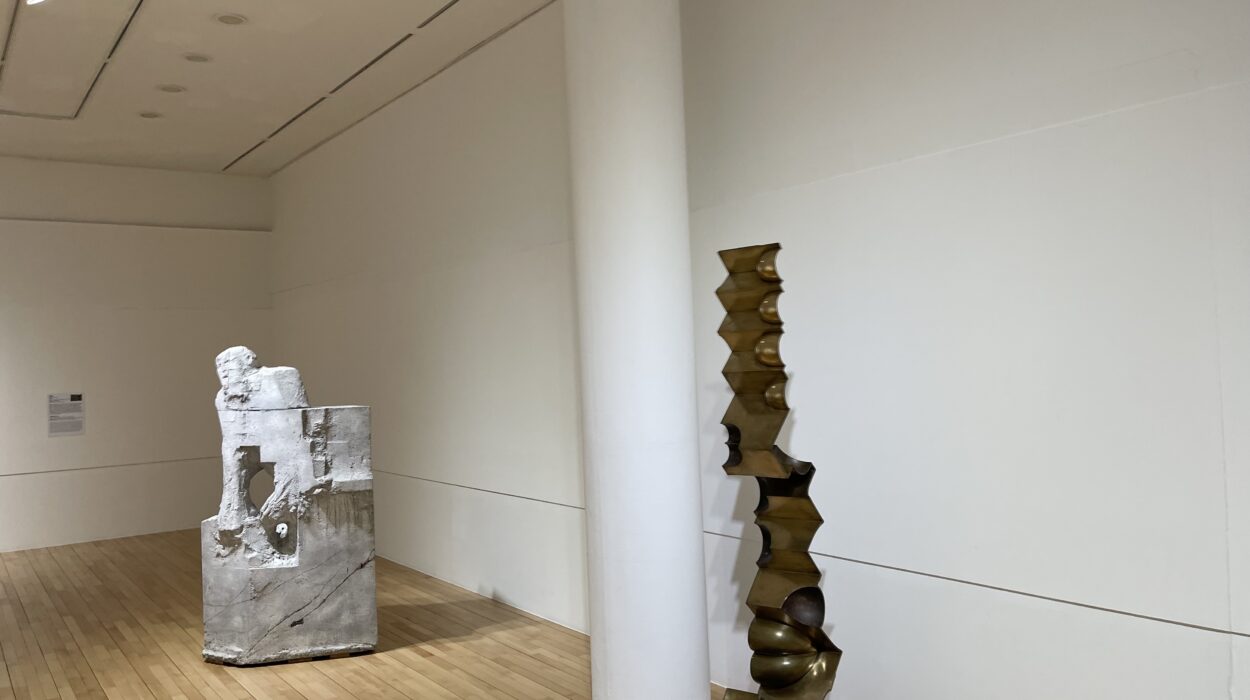 2024 10 20 Zeperito Wonderland