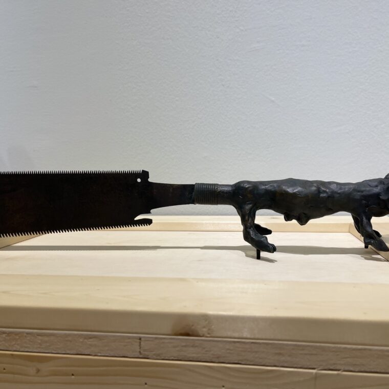 2024 10 10 Zeperito Wonderland