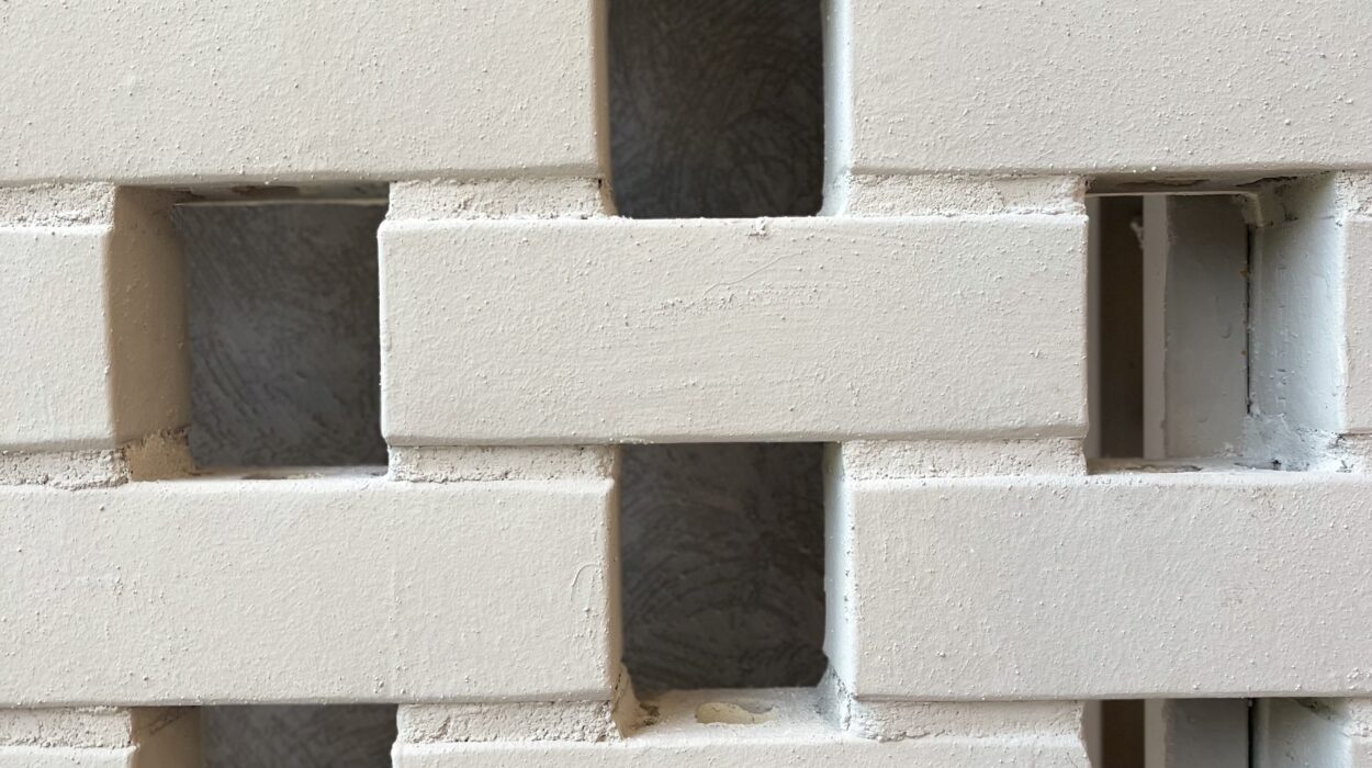 2024 10 15 Zeperito Wonderland