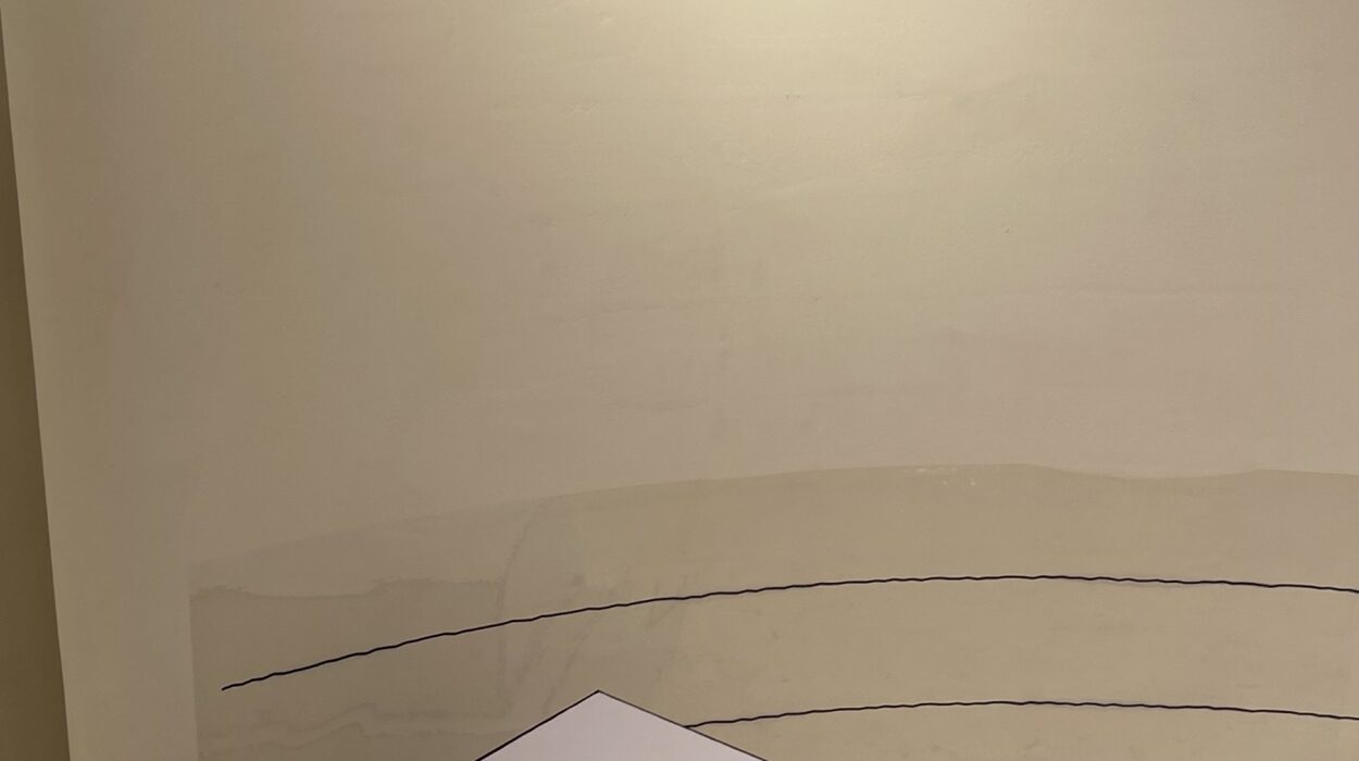 2024 10 13 Zeperito Wonderland