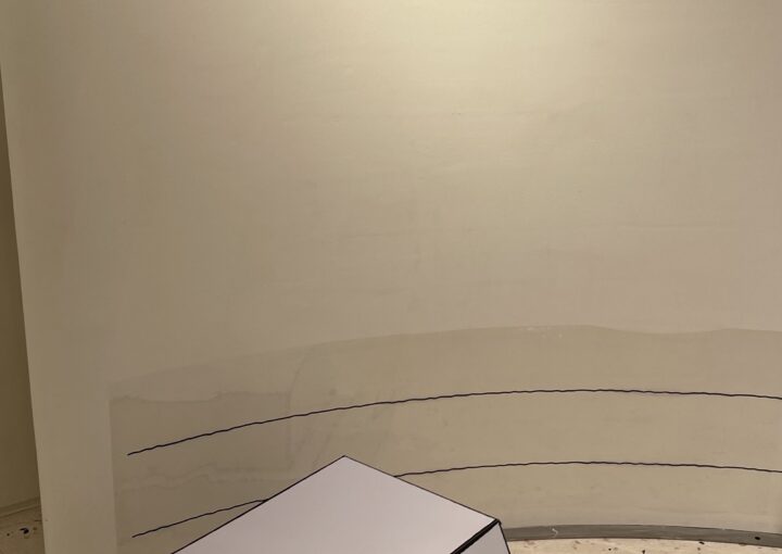 2024 10 13 Zeperito Wonderland