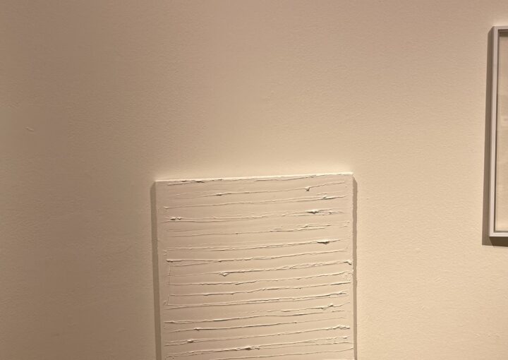 2024 10 18 Zeperito Wonderland