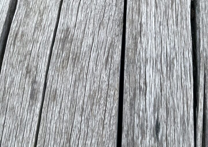 2024 10 19 Zeperito Wonderland