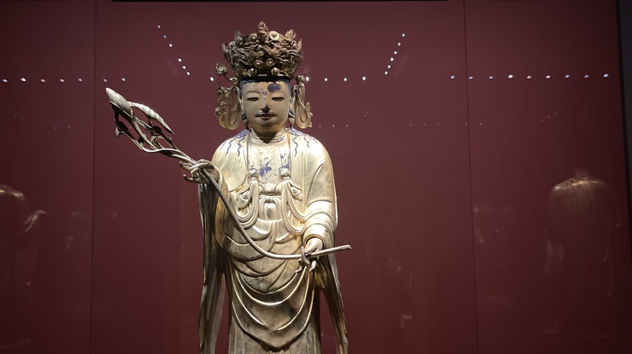 2024 11 02 Zeperito Wonderland