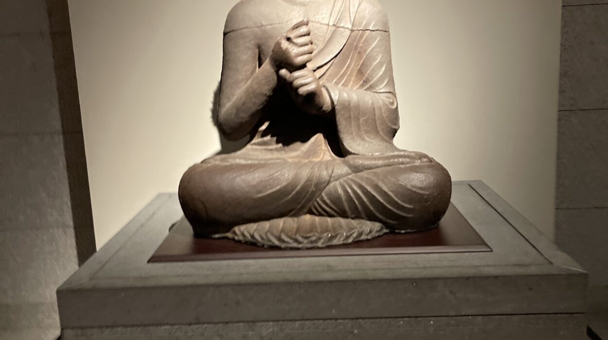 2024 11 01 Zeperito Wonderland