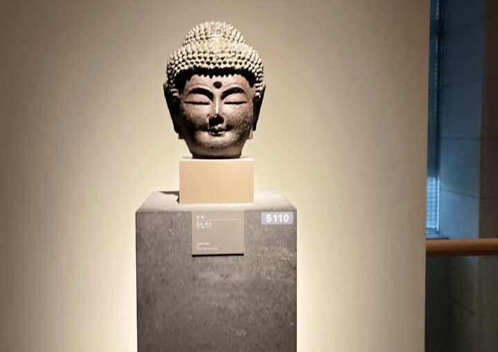 2024 10 31 Zeperito Wonderland