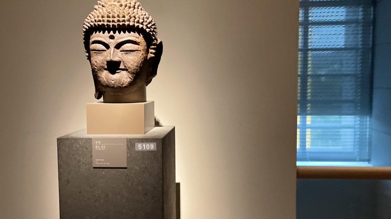 2024 10 30 Zeperito Wonderland