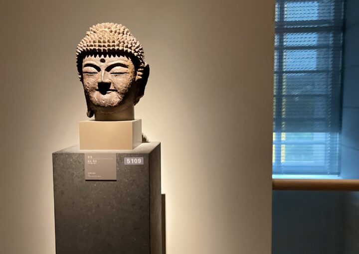 2024 10 30 Zeperito Wonderland