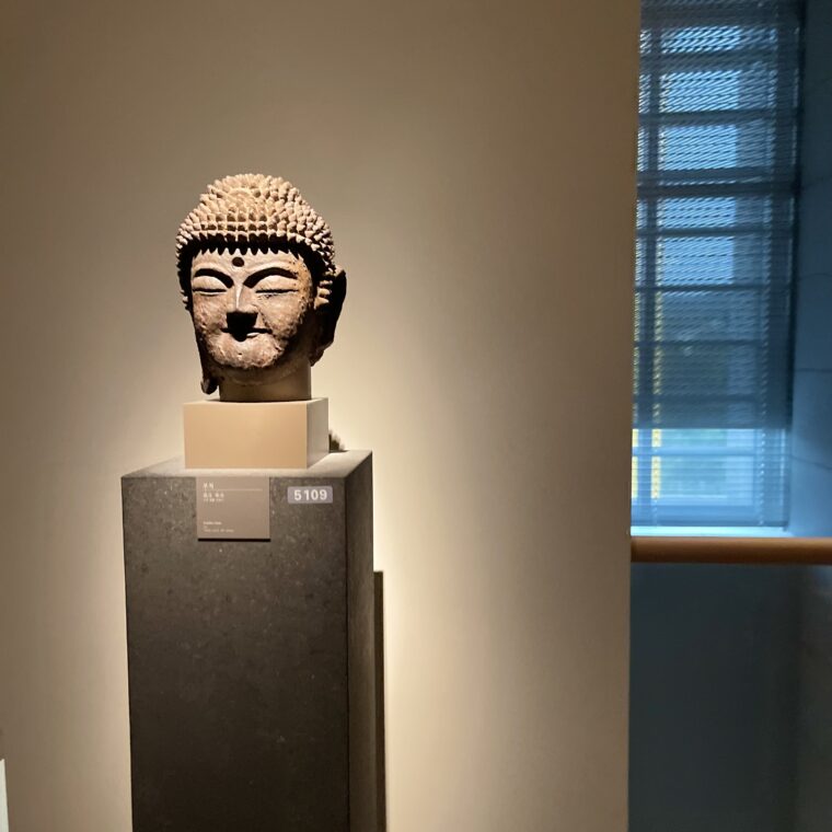 2024 10 30 Zeperito Wonderland