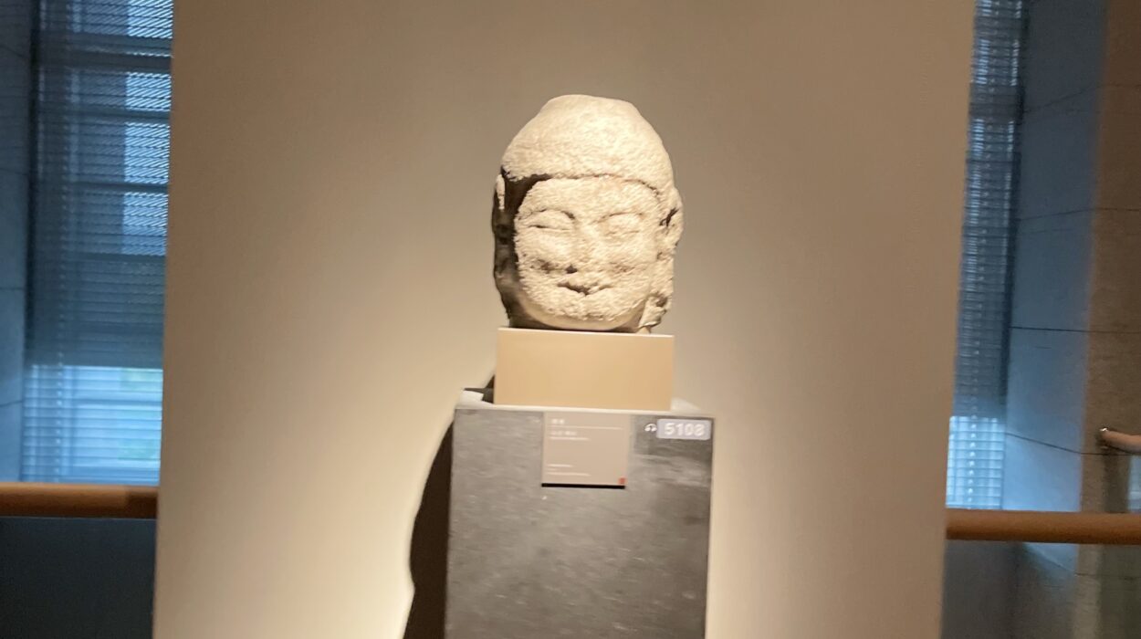 2024 10 27 Zeperito Wonderland