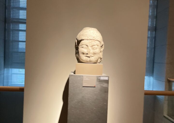 2024 10 27 Zeperito Wonderland