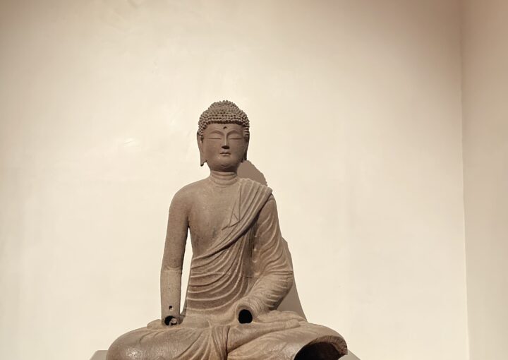 2024 10 28 Zeperito Wonderland