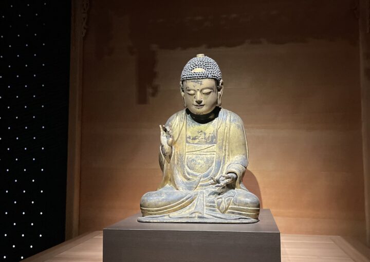 2024 10 29 Zeperito Wonderland