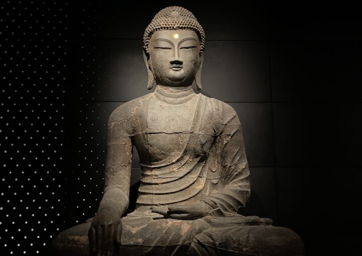 2024 11 03 Zeperito Wonderland