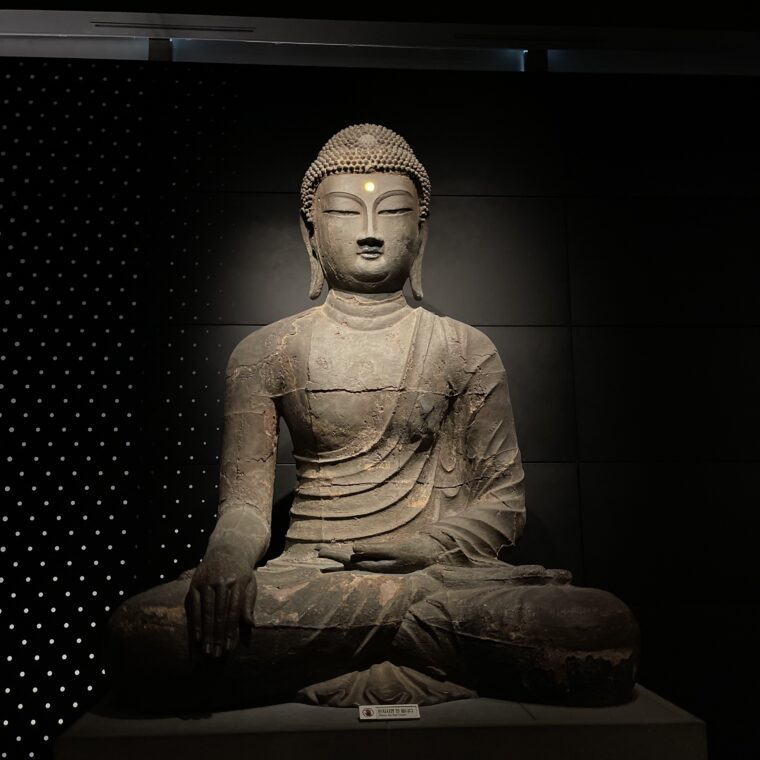 2024 11 03 Zeperito Wonderland