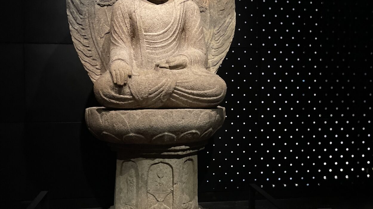 2024 10 24 Zeperito Wonderland