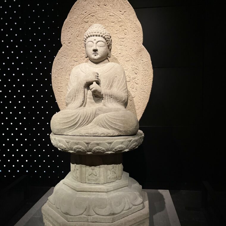 2024 10 25 Zeperito Wonderland