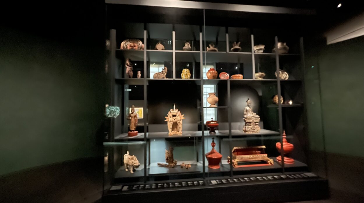 2024 10 26 Zeperito Wonderland