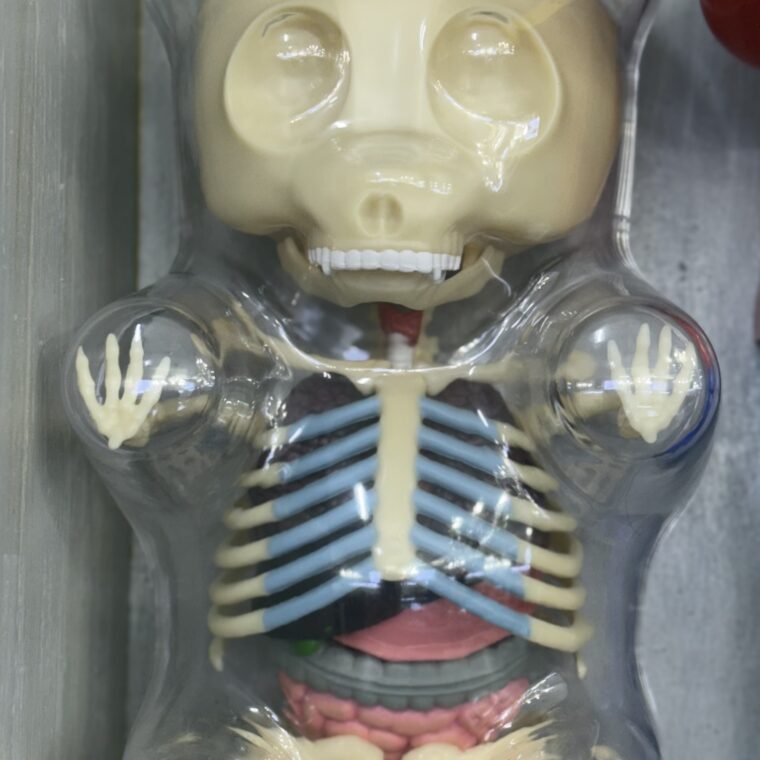 2024 11 30 Zeperito Wonderland