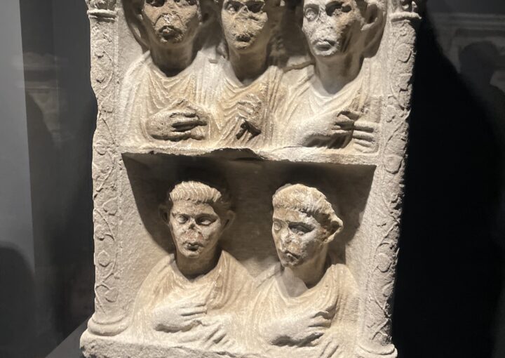 2024 11 11 Zeperito Wonderland