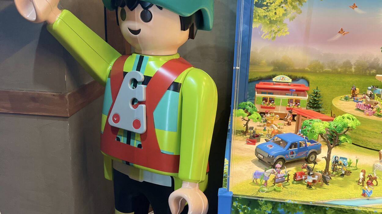 2024 11 10 Zeperito Wonderland