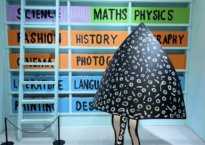 2024 11 11 Zeperito Wonderland