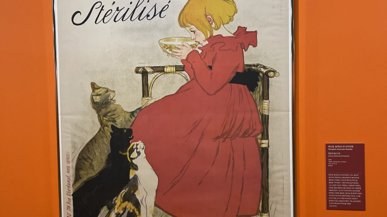 2024 11 27 Zeperito Wonderland