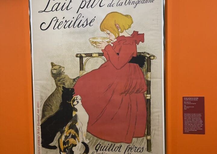 2024 11 27 Zeperito Wonderland