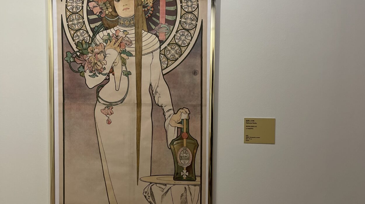 2024 11 25 Zeperito Wonderland