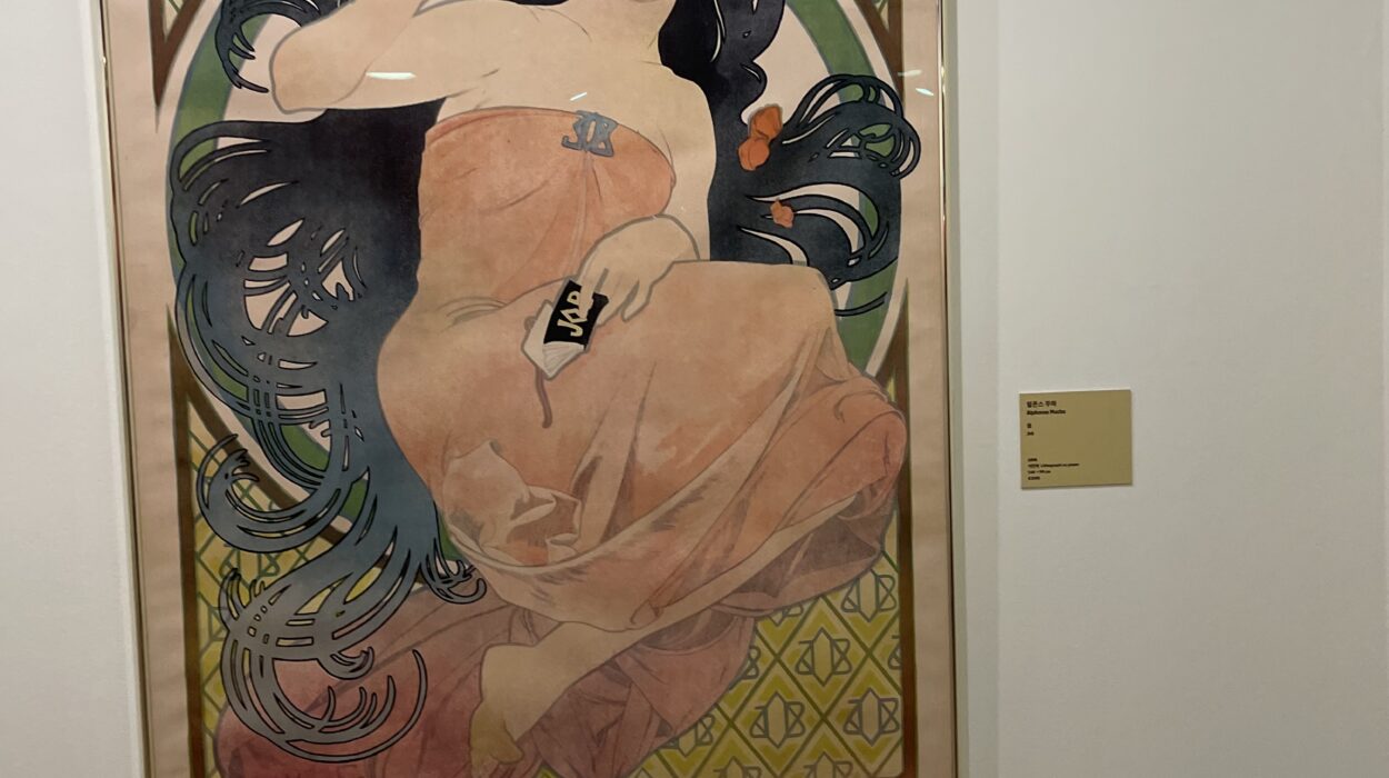 2024 11 29 Zeperito Wonderland