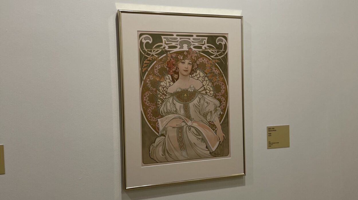 2024 11 26 Zeperito Wonderland