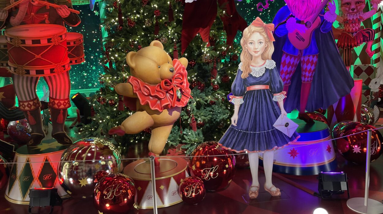 2024 11 23 Zeperito Wonderland