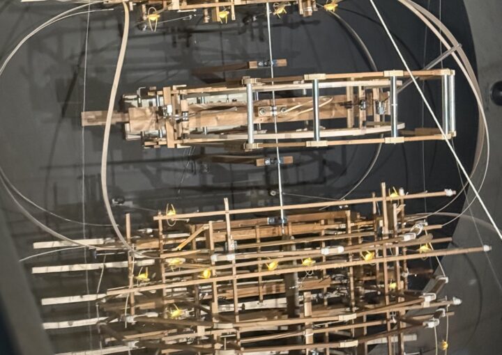 2025 01 04 Zeperito Wonderland