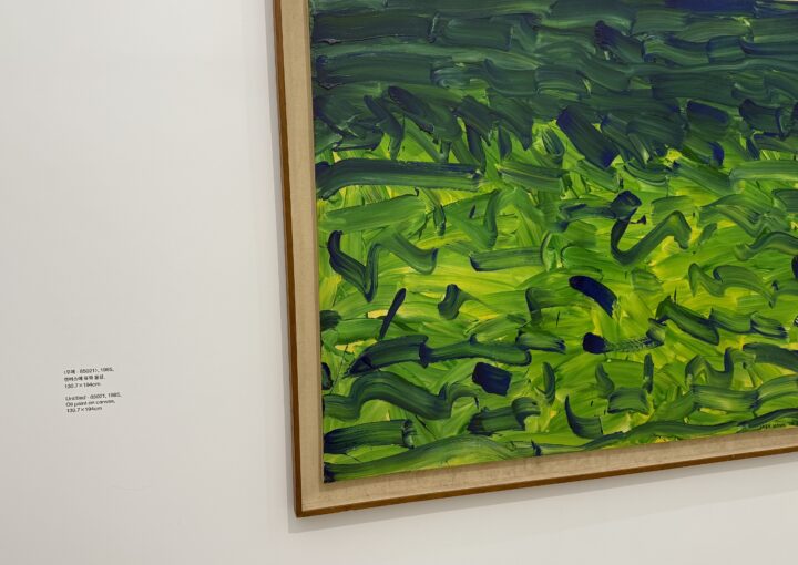 2024 12 25 Zeperito Wonderland