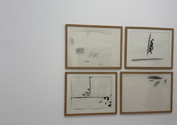 2024 12 23 Zeperito Wonderland