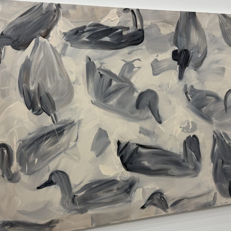 2024 12 20 Zeperito Wonderland