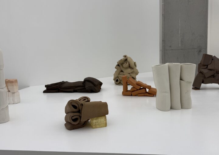 2024 12 14 Zeperito Wonderland