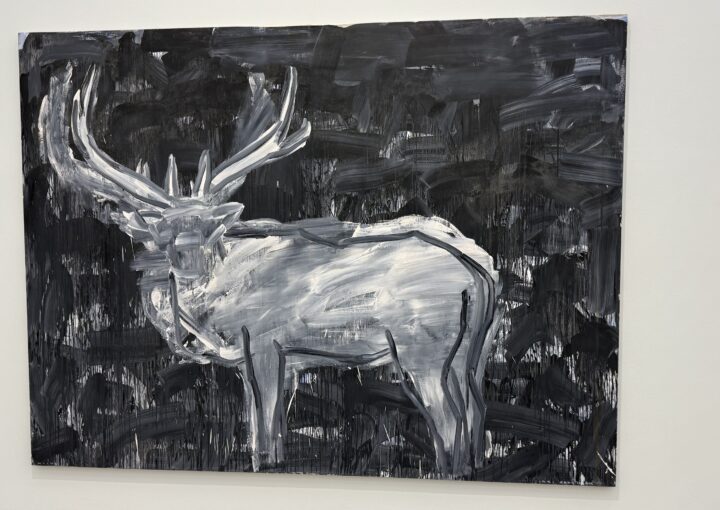 2024 12 17 Zeperito Wonderland