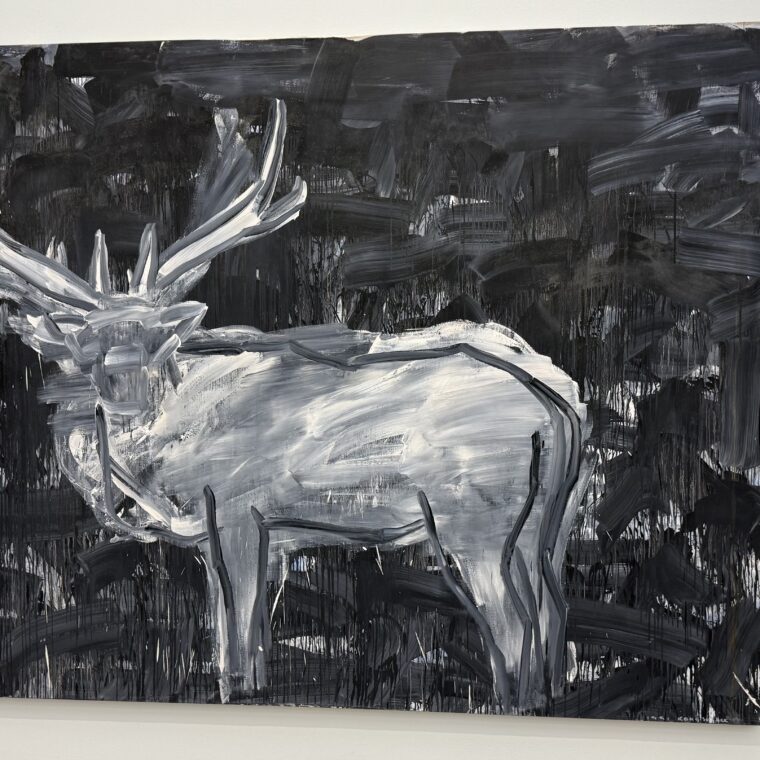 2024 12 17 Zeperito Wonderland