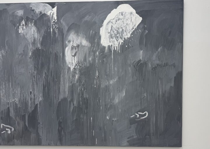 2024 12 15 Zeperito Wonderland