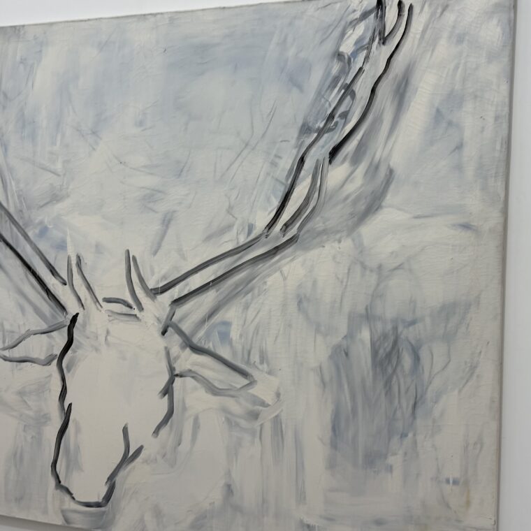 2024 12 14 Zeperito Wonderland