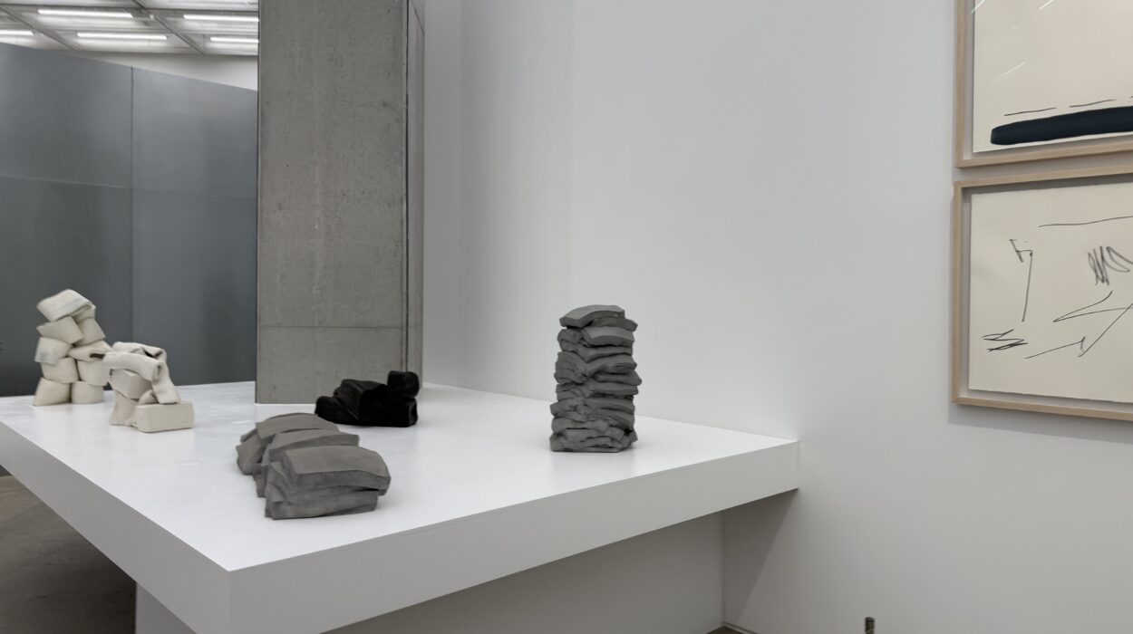 2024 12 12 Zeperito Wonderland