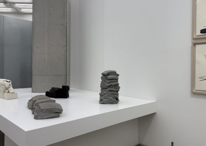 2024 12 12 Zeperito Wonderland