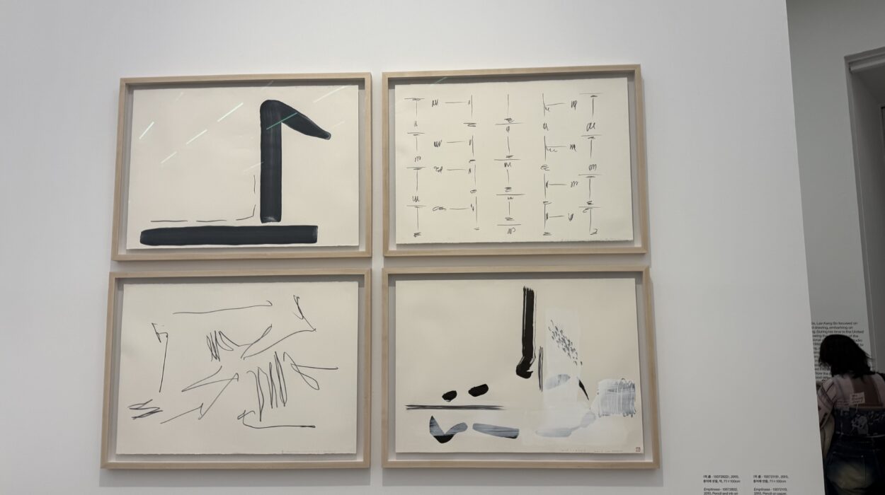 2024 12 11 Zeperito Wonderland