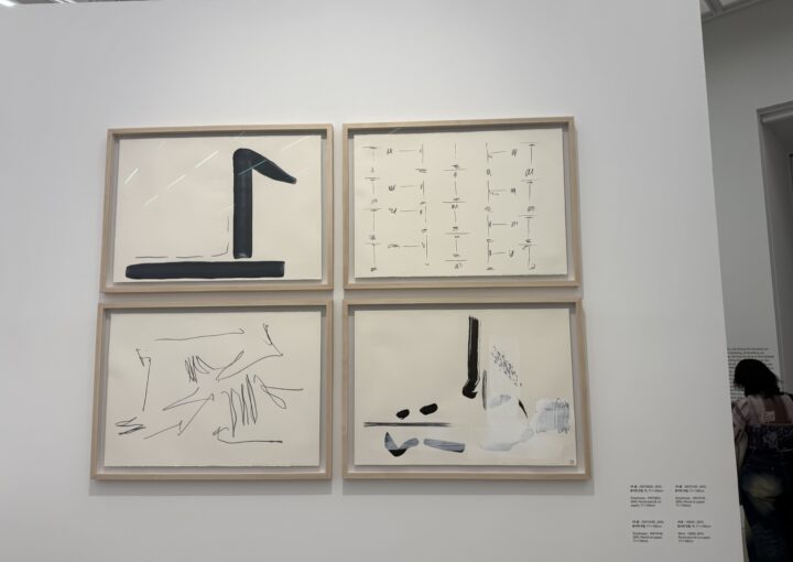 2024 12 11 Zeperito Wonderland